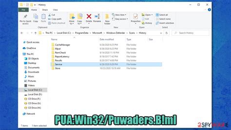 swch_go_service|PUA.Win32.SafeWatch.A .